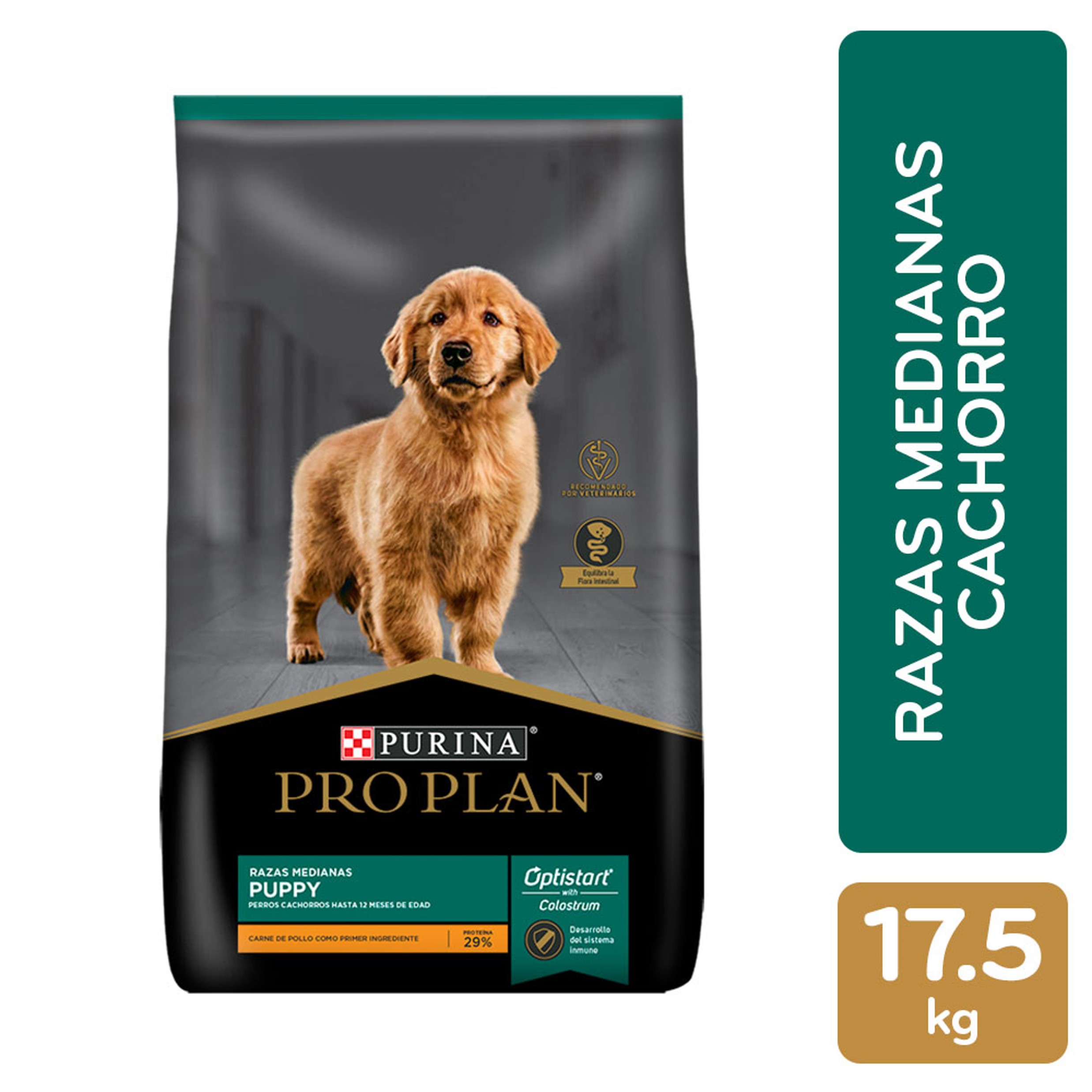 PRO-PLAN-CACHORRO-COMPLETO.jpg